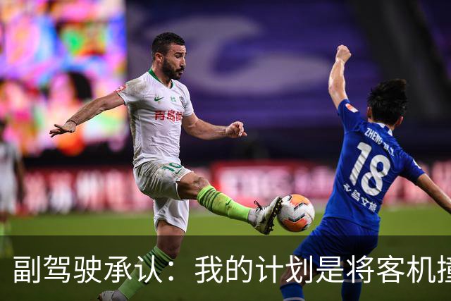 副驾驶承认：我的计划是将客机撞向特拉维夫机场